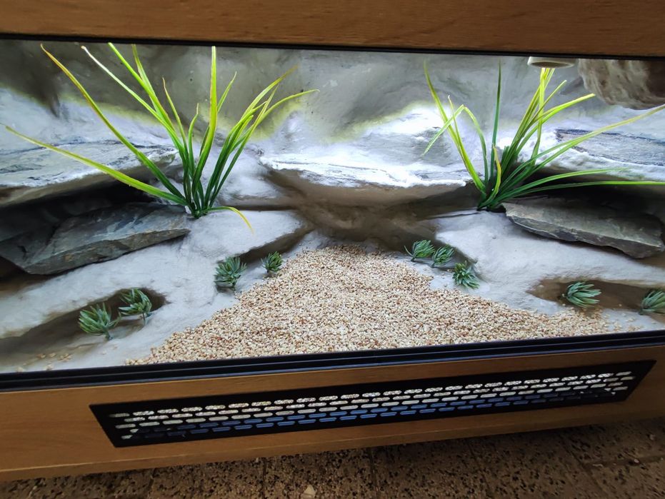 Terrarium 100x40x40 dla gekonów lamparcich PETMARKET