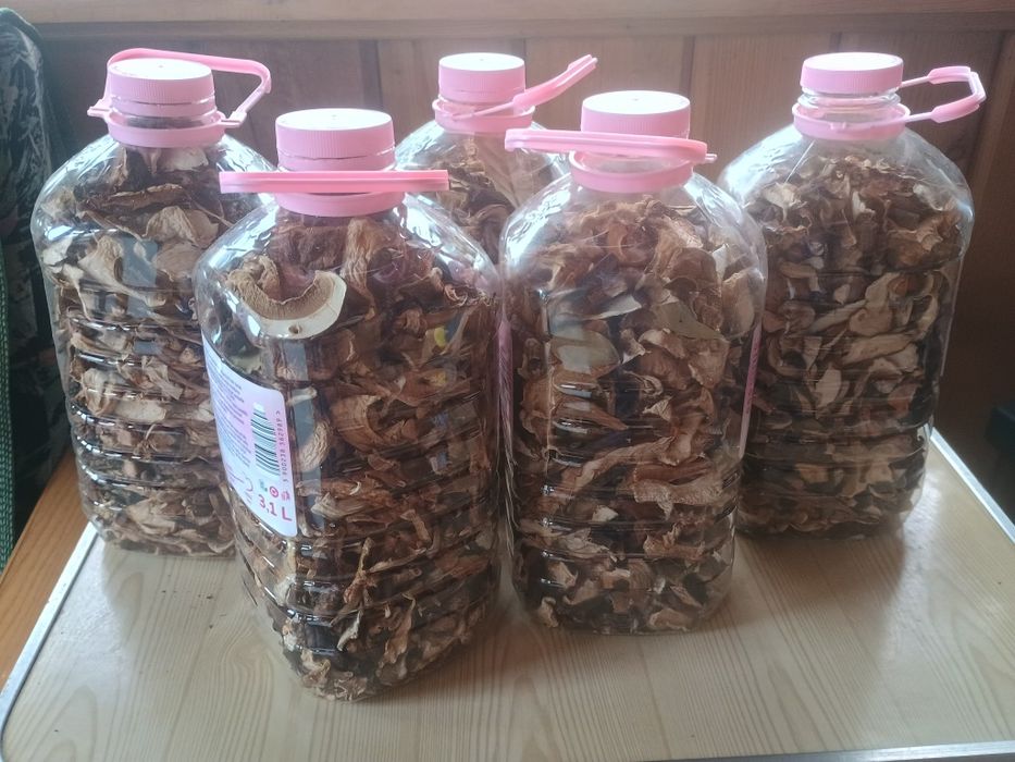 Suszone grzyby prawdziwki za kilogram