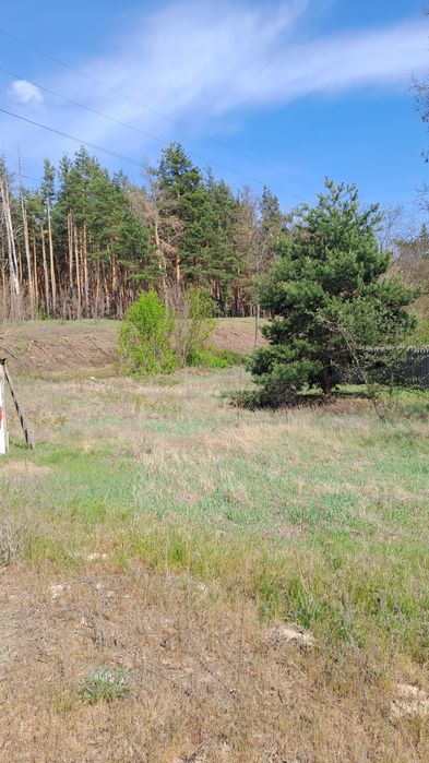 Продам дом в Солоницевке