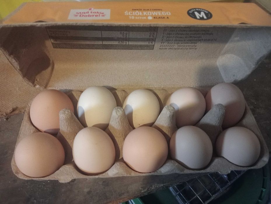 Jajka wiejskie m