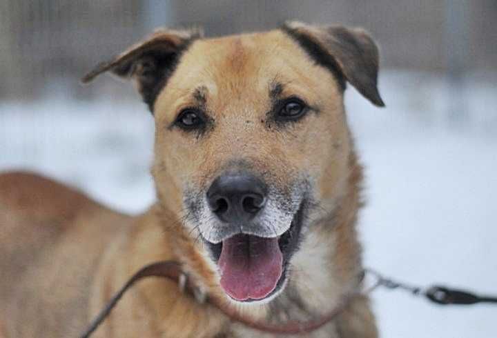 Rudlof , może w końcu będzie miał szczęście w życiu