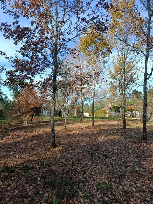 Vende-se quinta Cabeçudo, Sertã