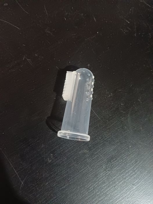 Escova de dentes para animais.