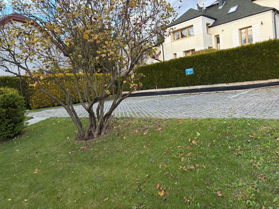 Lokal do wynajęcia Bielsko-Biała kosmetyka, stylizacja, gabinet tatu