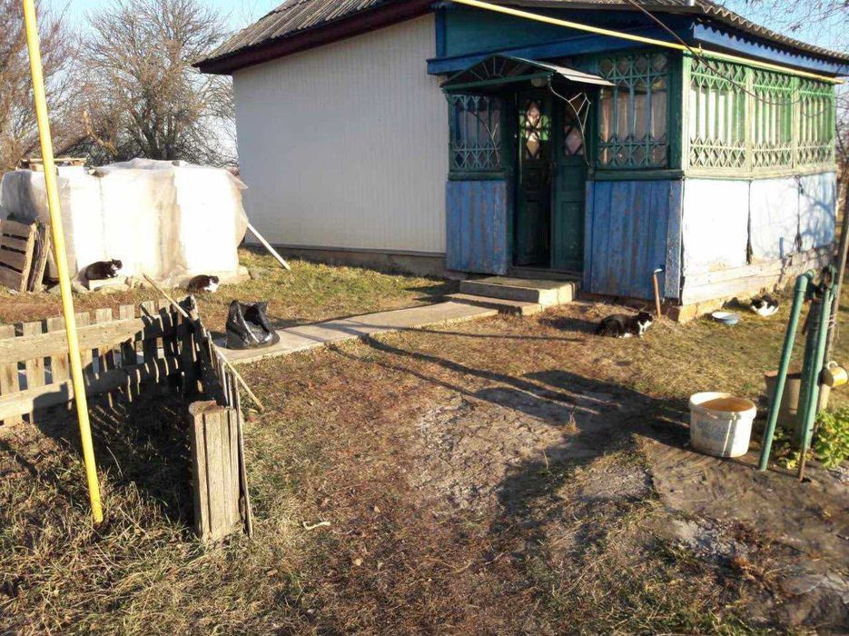 Без% Продаж будинку Гребельки (Бровари) 45м 53сотки