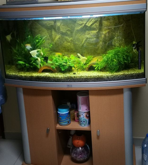 Aquário 180litros