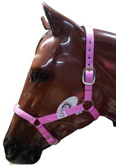 Cabeçoes De estábulo