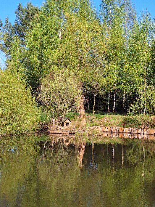 Domek na Mazurach /Idzbark koło Ostródy