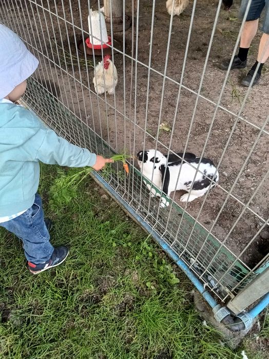 Agroturystyka-odpoczynek w zagrodzie wyróżnionej"Piękna Wieś Pomorska"
