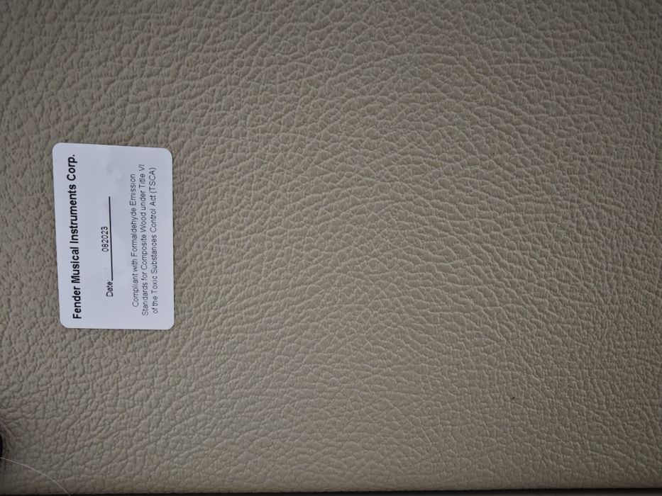 Amplificador Fender Mustang LT25