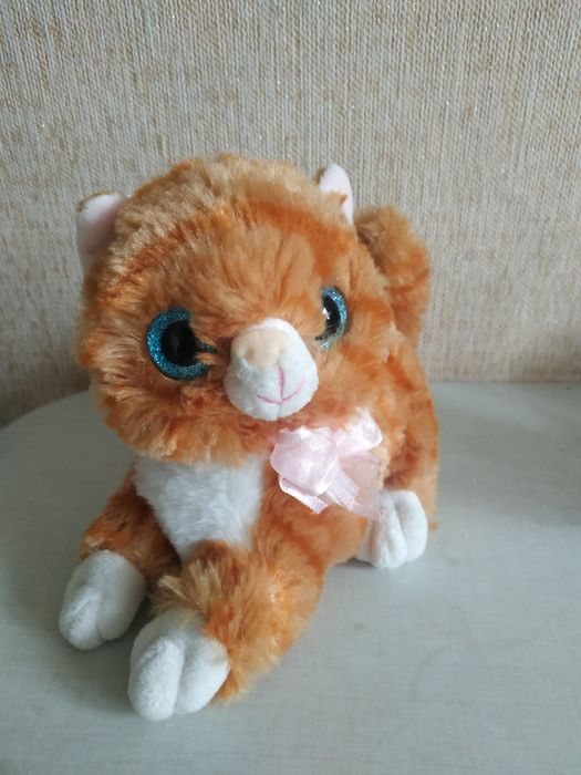 Котёнок с большими глазами