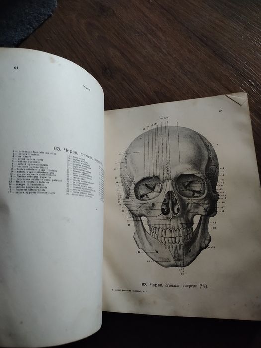 Атлас анатомии человека.