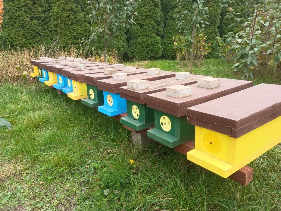 Ulik weselny trzy ramki 1/2.Zamiana na odkłady.