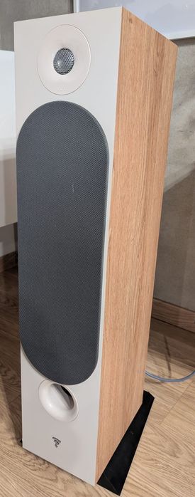 Kolumny Focal chora 826