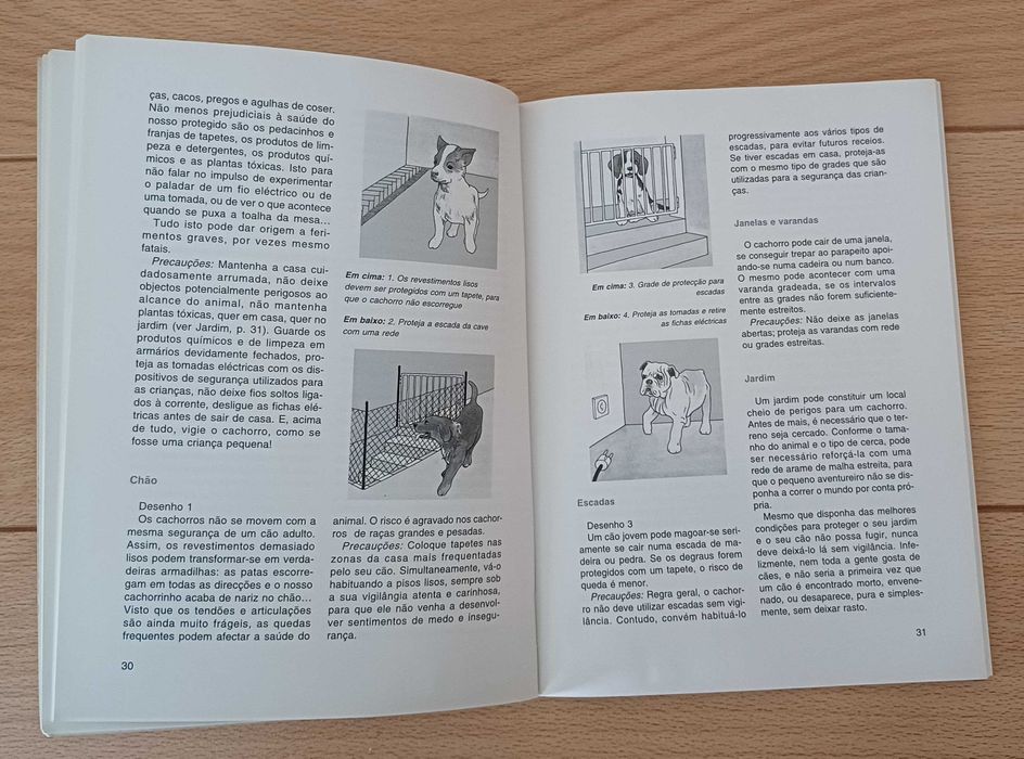 Como Cuidar Do Seu Cachorro