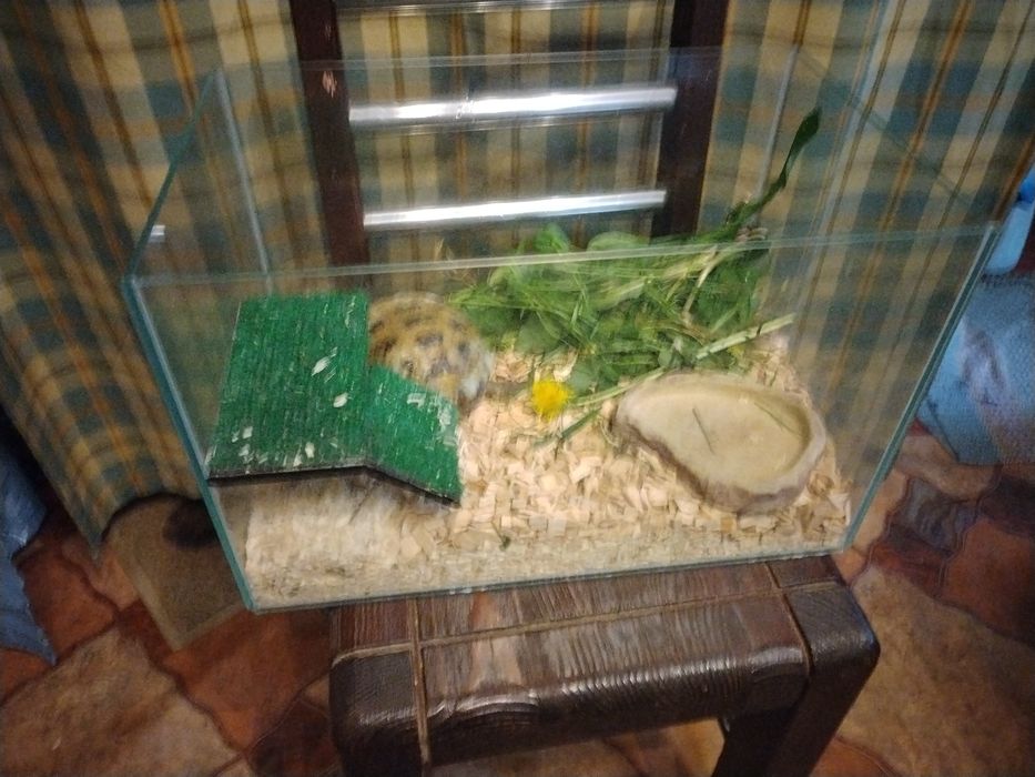 .Акваріуми.Тераріуми.Аквариум .Тераріум-.