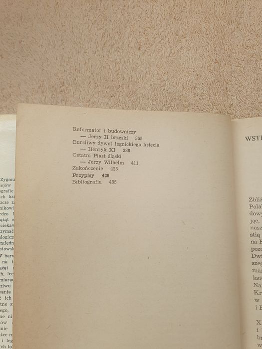 Książęta piastowscy Śląska Zygmunt Boras wydawnictwo Śląsk