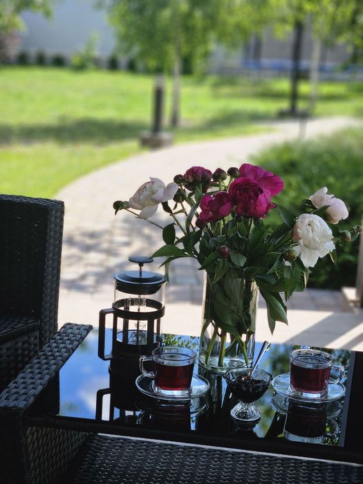 Заміський відпочинок  на Різдво  будинок подобово