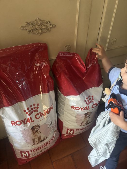 Racao Royal canin M 15kg