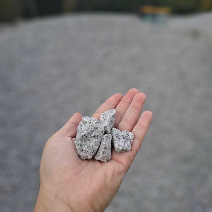 Grys Granitowy. Grys Dalmatyńczyk. Kamień do Ogrodu. Grys szary.