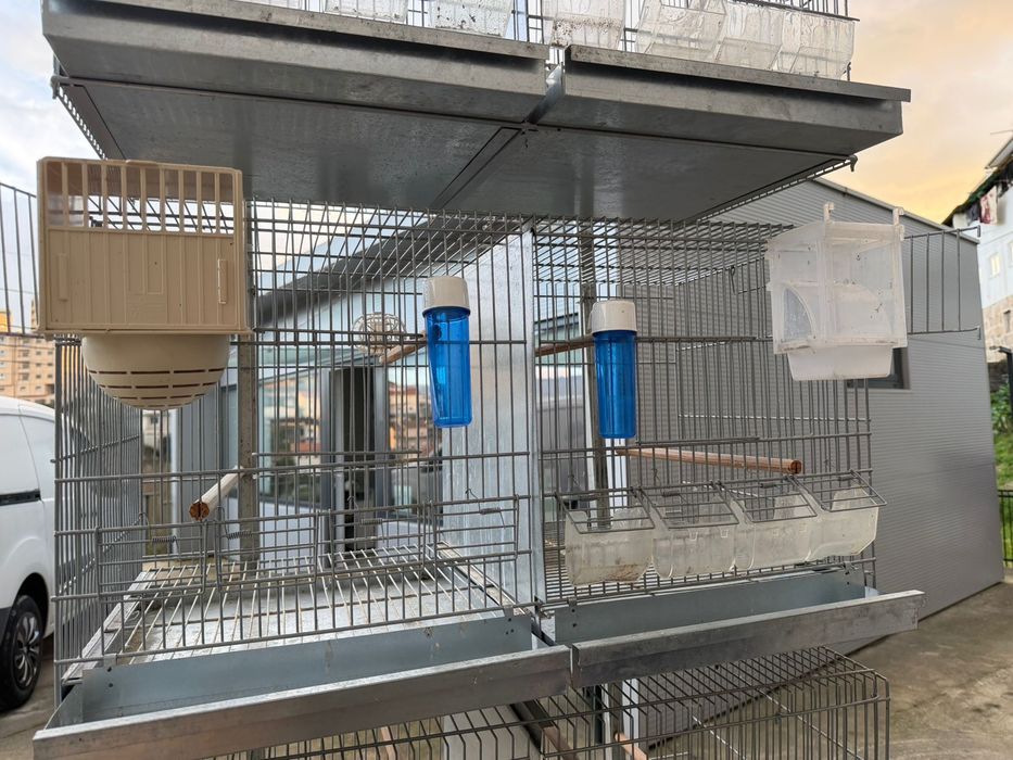 Viveiros Duplos Galvanizados