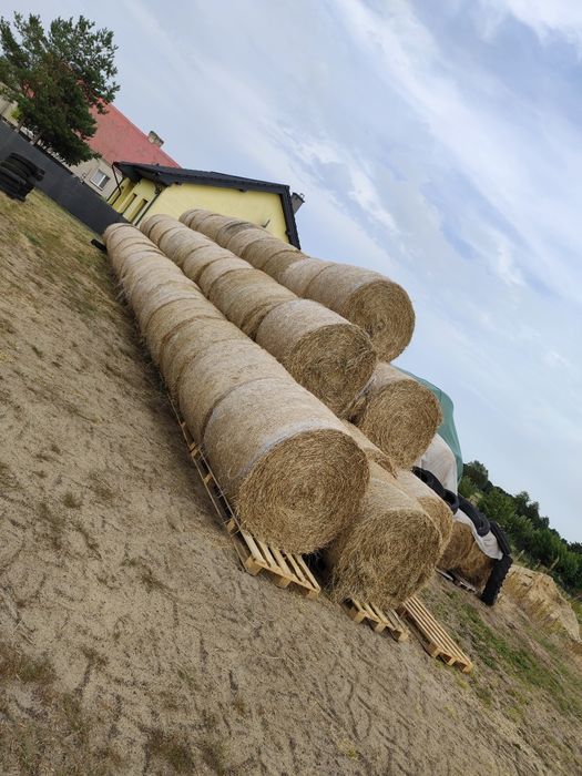Siano bele okragle mocno zbite z ładnych łąk prasowane prasą pąsowa