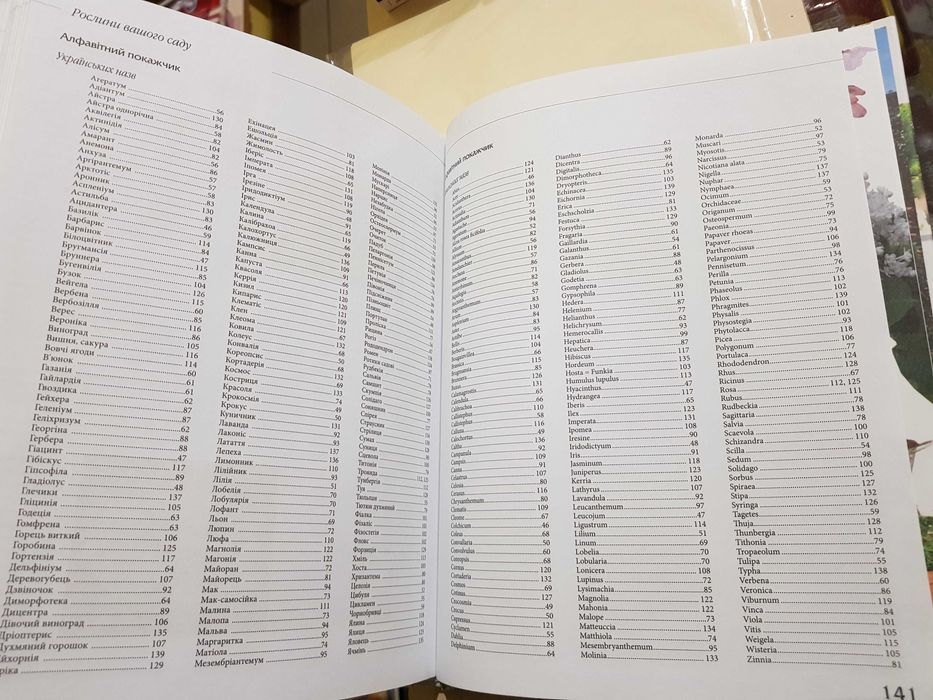 Рослини на балконі контейнері дачі подвір'ї дому сад Енцик домаш затиш