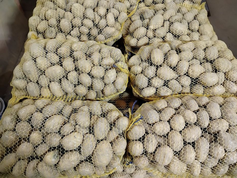 Ziemniaki odmiana soraya