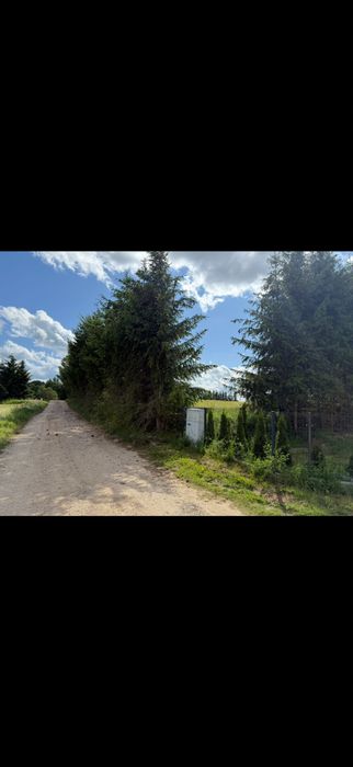 Działka budowlana, uzbrojona Kowale Oleckie - Widok 4