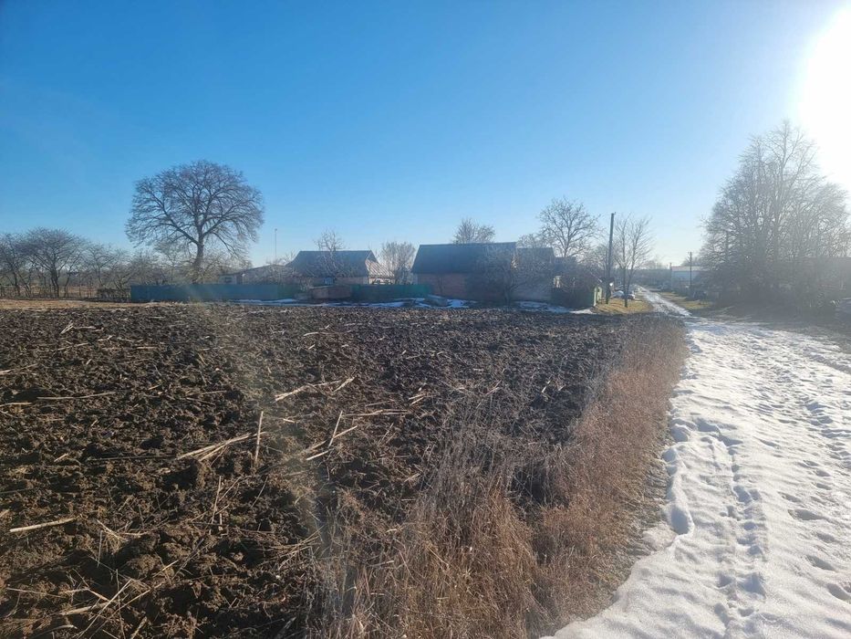 (8) Продам земельну ділянку в Яришівці 2875