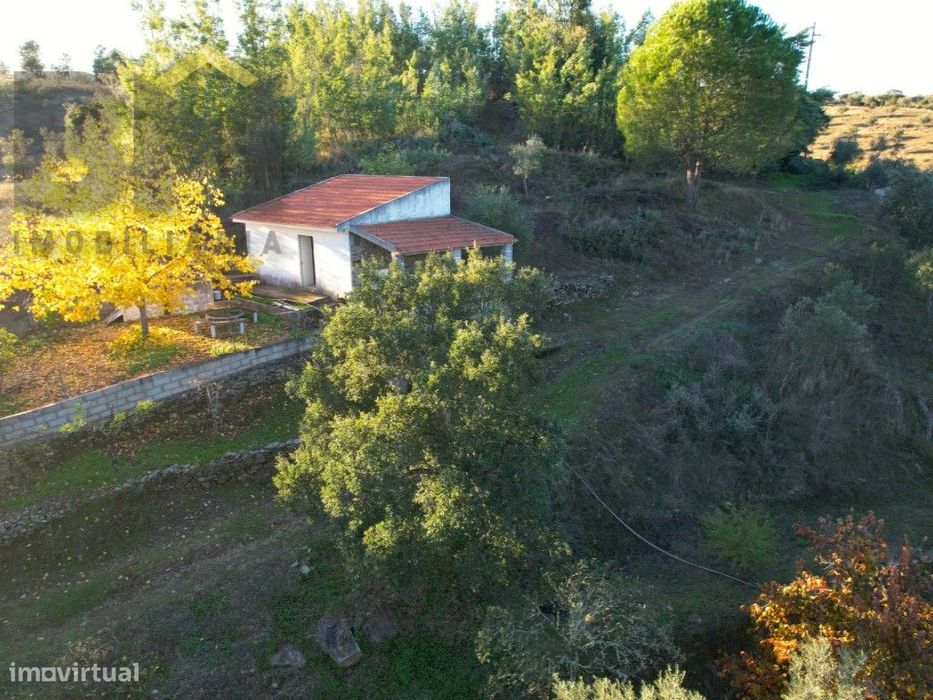 Quinta do Canavial - Aldeia da Mata