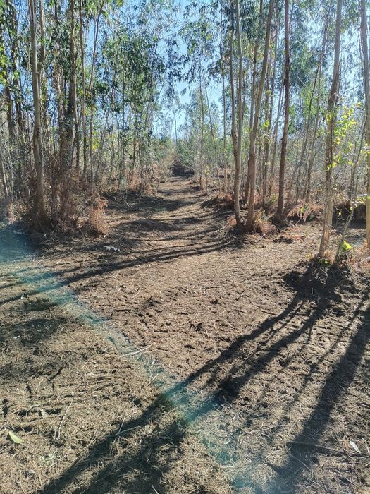 Terreno com uma área de 8180 m2.

Área de  produção Agrícola.