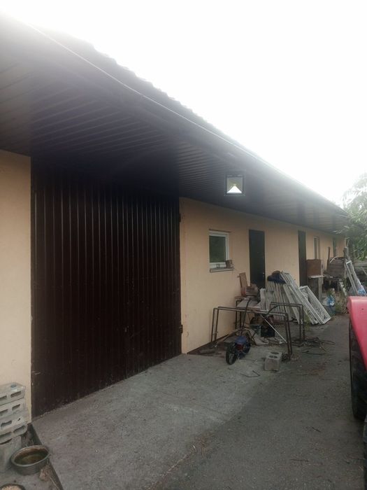 Здам в оренду ділянку під тепличне (парникове) господарство