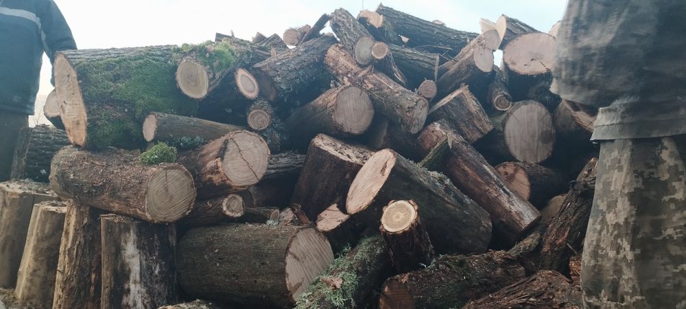 Продам ДРОВА маємо документи