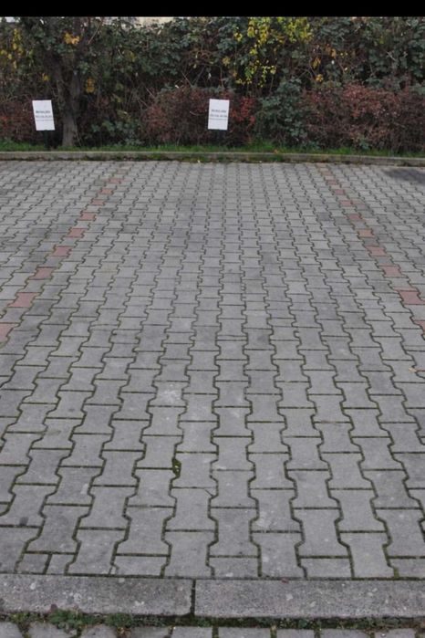 Miejsce parkingowe naziemne