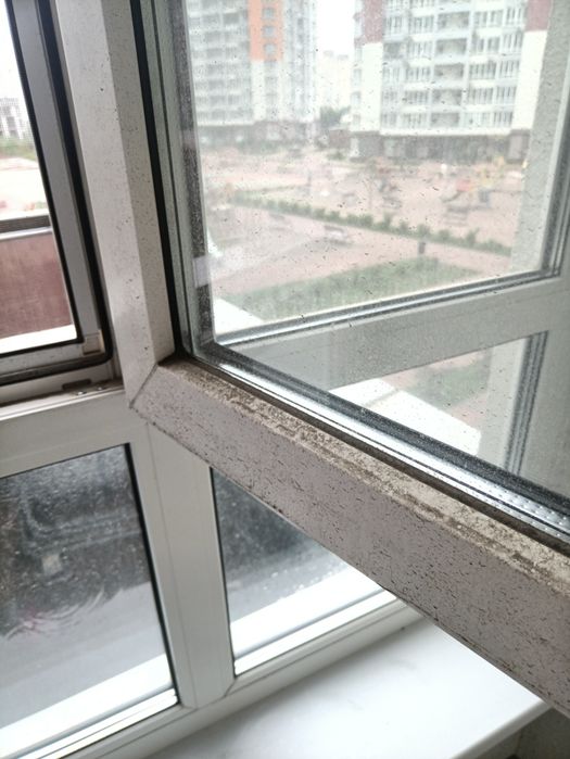 Сезонна мойка вікон ціна акційна до Нового Року
Озонування повітря це-