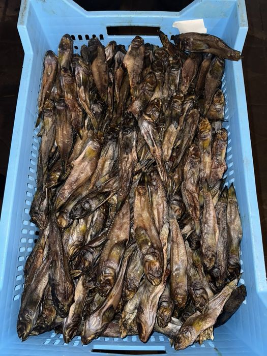 Вялена риба | риба холодного копчення | вʼялена риба | сушена риба