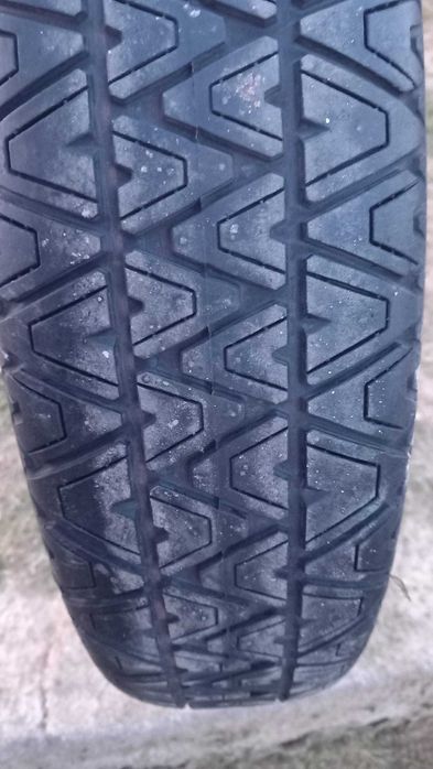 Jante Suplente 14 e 19