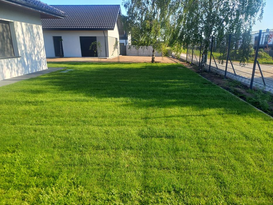 Trawa trawnik trawniki z rolki sprzedaż transport montaż wysyłki