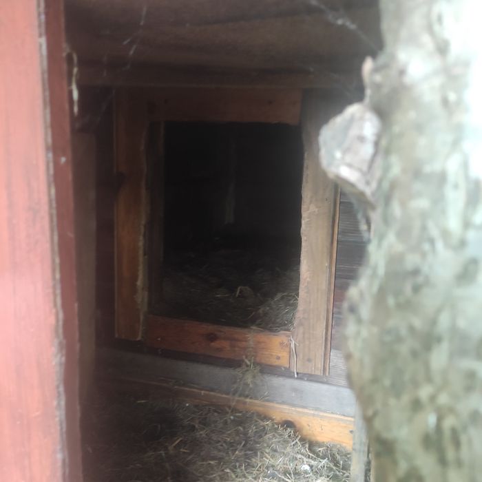 Sprzedam budę dla psa.