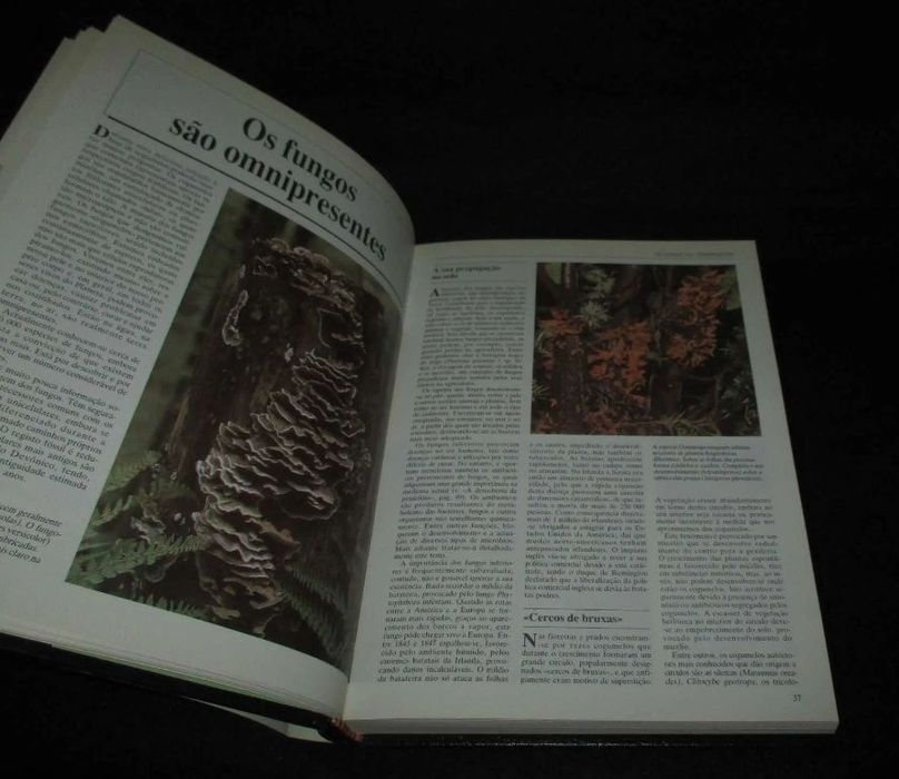 Botânica volumes I e II