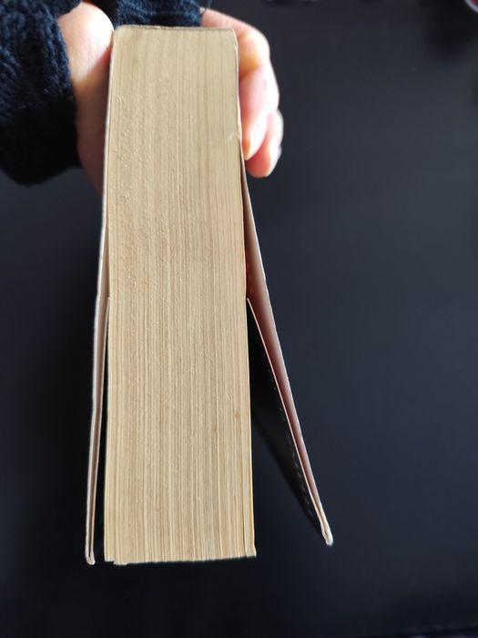 Livro "A 11ª Praga"