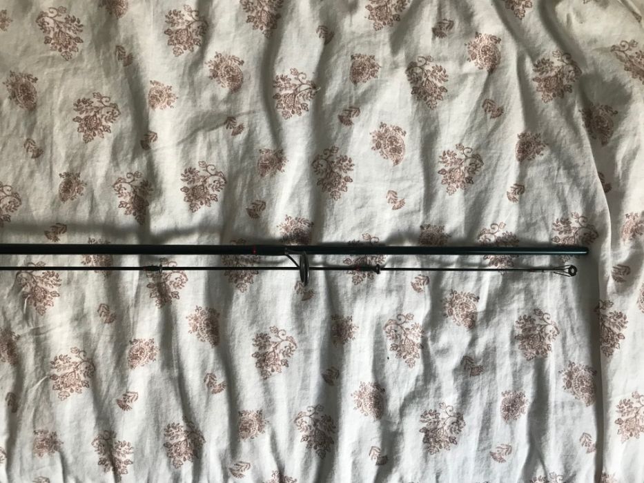 Konger Champion Dancer 245 pierwsza zielona seria Warszawa Bielany