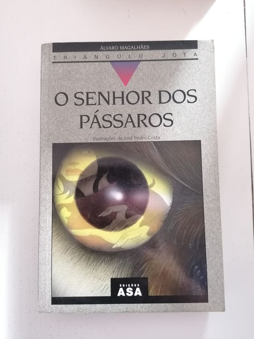 "Triângulo Jota" - Álvaro Magalhães