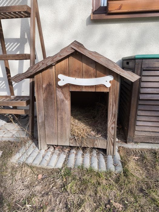 Buda dla psa ZA DARMO