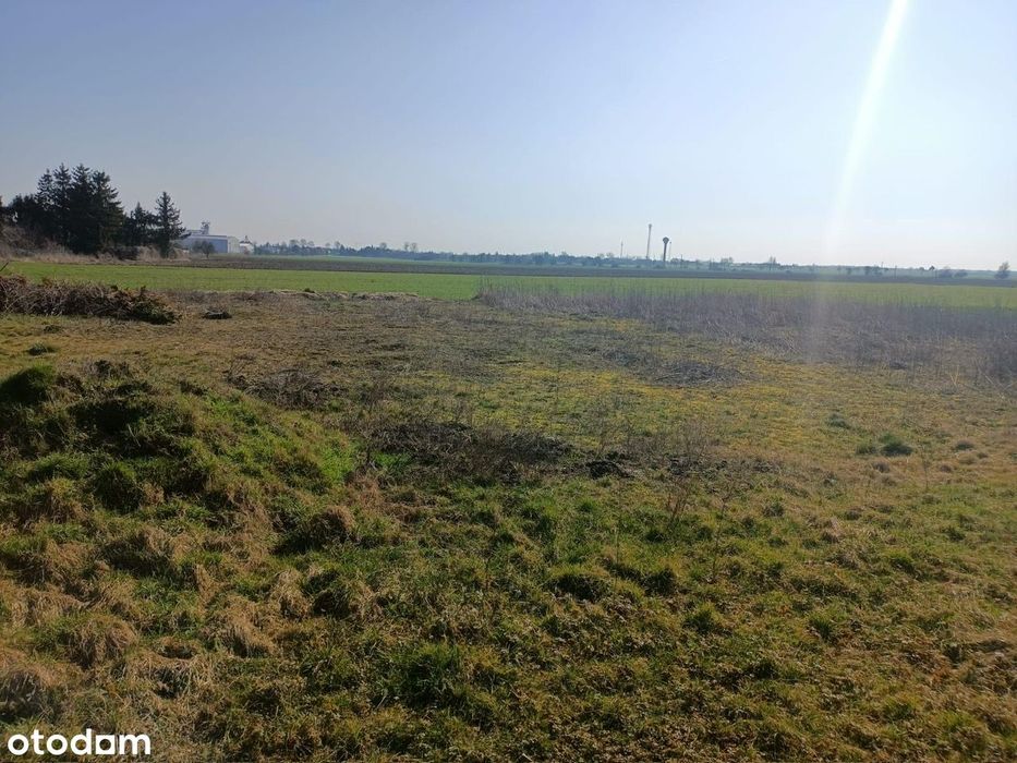 Działka budowlana 1010 m² | Kaźmierz | 25 km od Poznania | Media - Widok 2