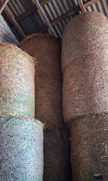 Sprzedam słomę w belach