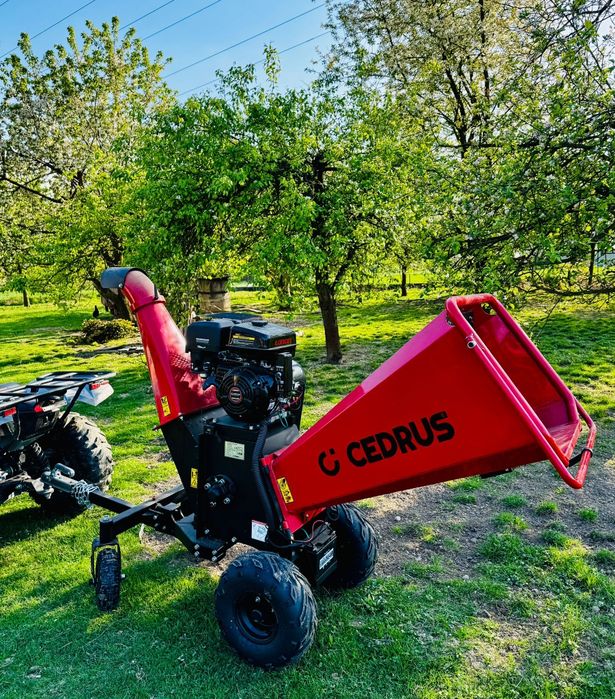 Od trawnika po drzewa – zadbamy o każdy szczegół Twojego ogrodu
