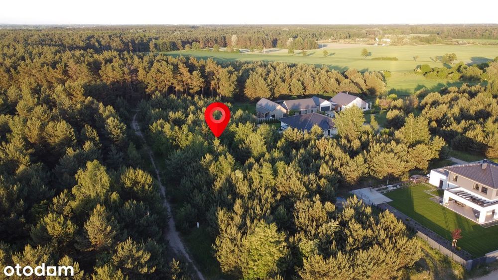 Wyjątkowa działka rezydencjonalna w pierwszej linii lasu | Sierosław