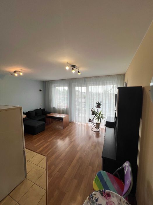 Kawalerka na wynajem w Oleśnicy | ul Wiejska | 35 m2 | umeblowane | dostępne od 1.10. | 1 piętro